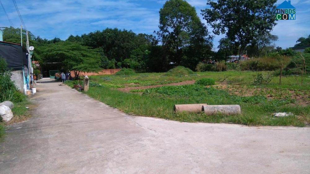 Hình ảnh Tân Khánh, Hồ Chí Minh