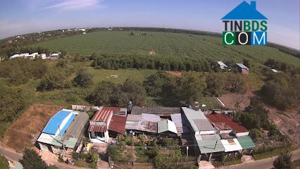 Hình ảnh Tân Thành, Hồ Chí Minh