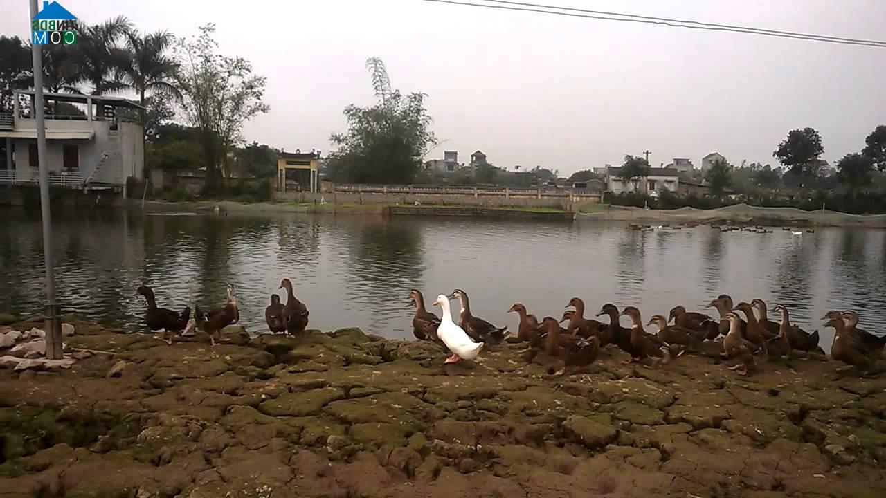 Hình ảnh Đại Xuyên, Hà Nội