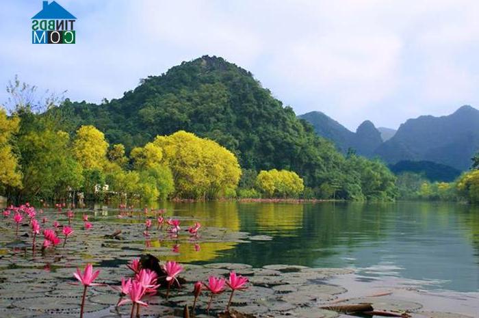 Hình ảnh Hương Sơn, Hà Nội