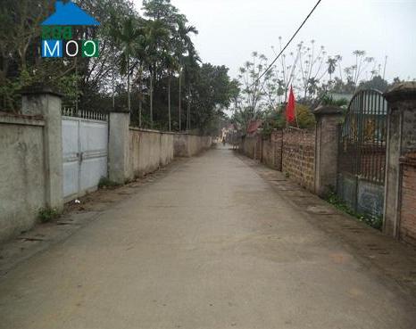 Hình ảnh Phú Cát, Hà Nội