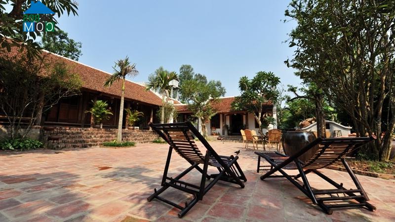 Hình ảnh Tùng Thiện, Hà Nội