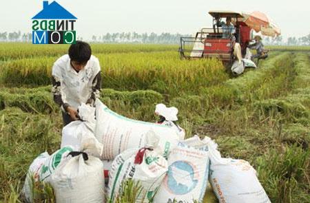 Hình ảnh Tam Hưng, Hà Nội