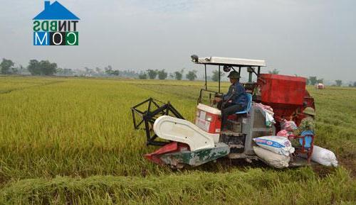 Hình ảnh Tây Phương, Hà Nội