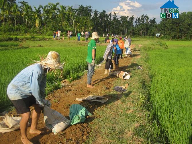 Hình ảnh Lãnh Ngọc, Đà Nẵng