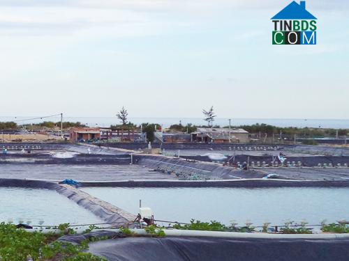 Hình ảnh Thăng Trường, Đà Nẵng