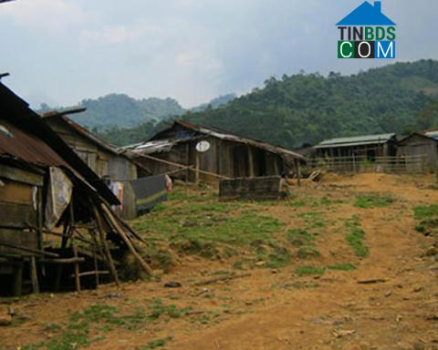 Hình ảnh Trà Leng, Đà Nẵng