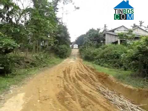 Hình ảnh Trà Liên, Đà Nẵng