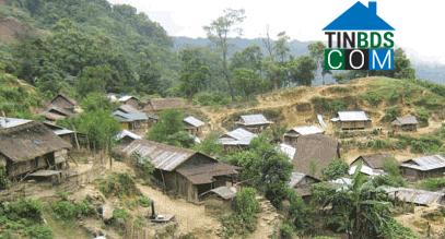 Hình ảnh Trà Linh, Đà Nẵng