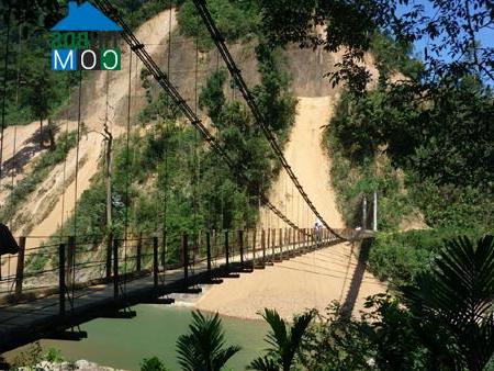 Hình ảnh Trà Tập, Đà Nẵng