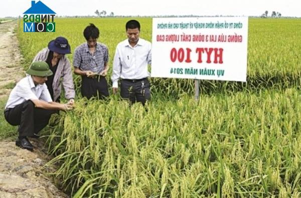 Hình ảnh Vĩnh Am, Hải Phòng