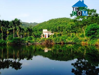 Hình ảnh Nguyễn Trãi, Hải Phòng