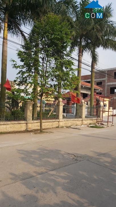 Hình ảnh Phạm Sư Mạnh, Hải Phòng