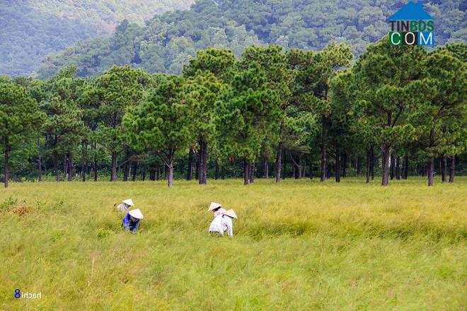 Hình ảnh Trần Nhân Tông, Hải Phòng