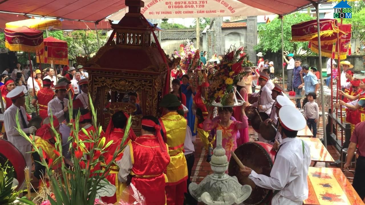 Hình ảnh Tuệ Tĩnh, Hải Phòng