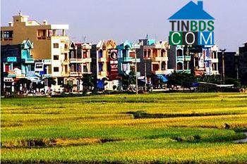 Hình ảnh Gia Lộc, Hải Phòng