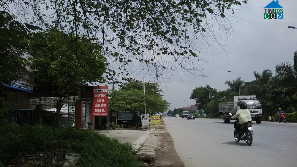 Hình ảnh Chu Văn An, Hải Phòng