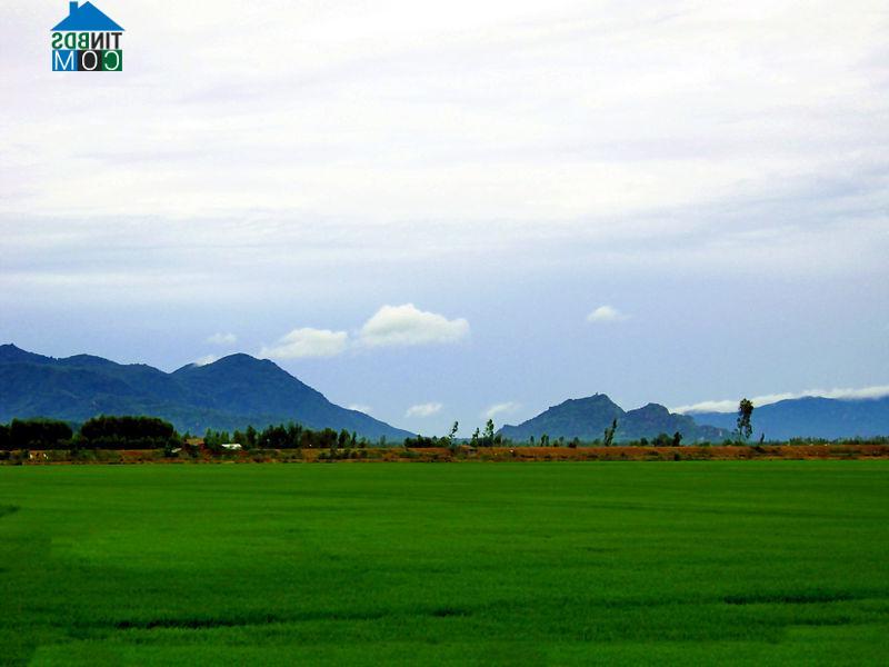 Hình ảnh Thạnh Mỹ Tây, An Giang