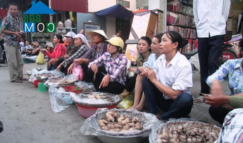 Hình ảnh Nghi Dương, Hải Phòng