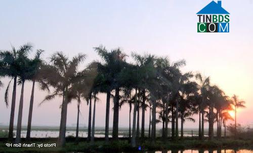 Hình ảnh Thái Tân, Hải Phòng