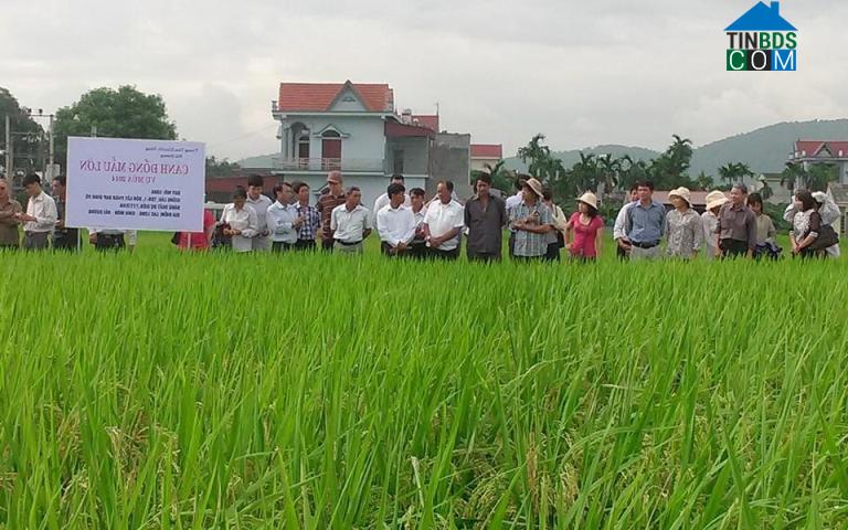 Hình ảnh Hải Hưng, Hải Phòng