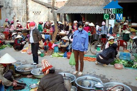 Hình ảnh Hà Nam, Hải Phòng