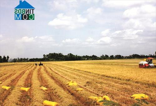 Hình ảnh Hòa Thuận, An Giang