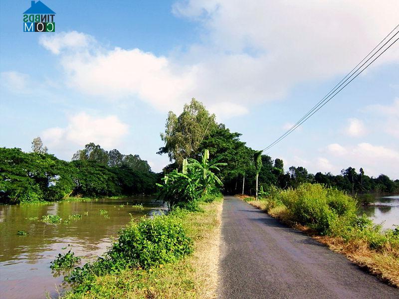 Hình ảnh Phú Hòa, An Giang