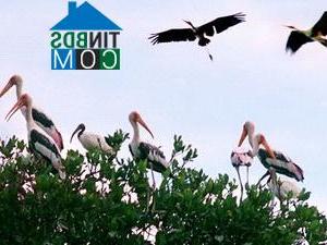 Hình ảnh Sơn Kiên, An Giang