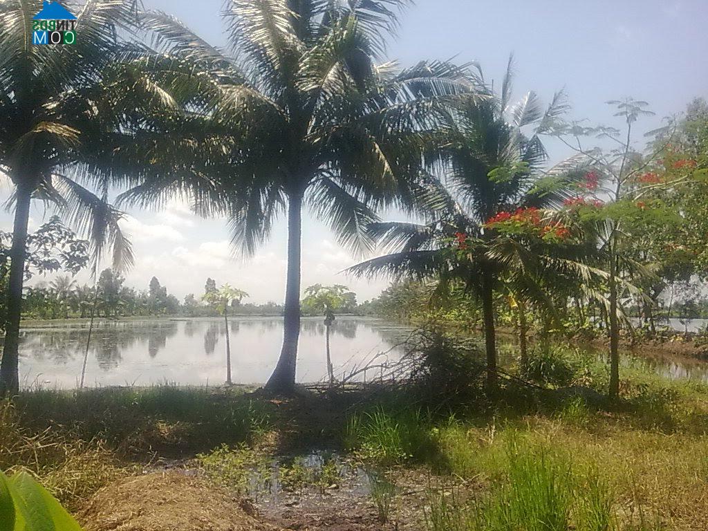 Hình ảnh Đông Hưng, An Giang