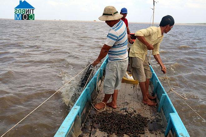 Hình ảnh Đông Thái, An Giang