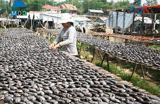 Hình ảnh Khánh Bình, An Giang