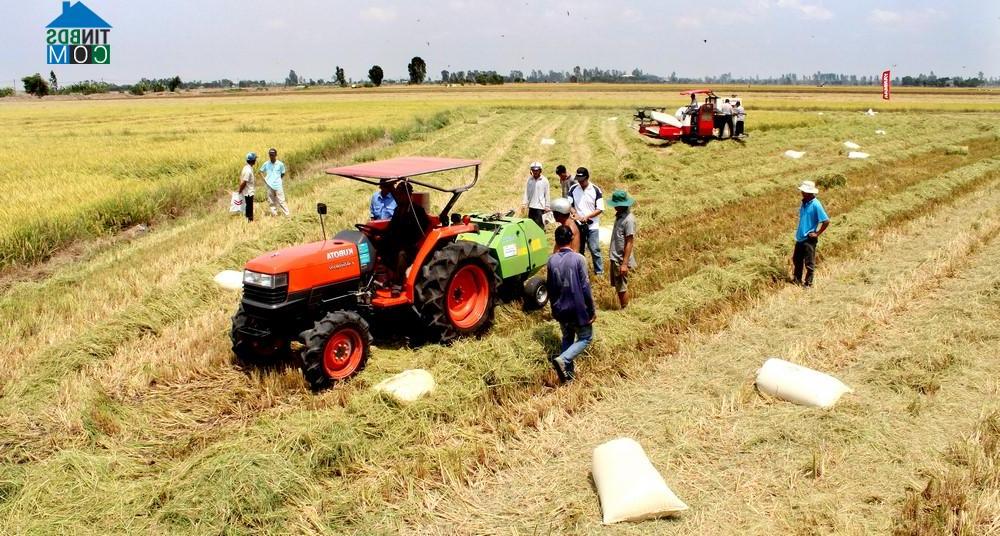 Hình ảnh Óc Eo, An Giang
