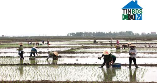 Hình ảnh Bắc Lũng, Bắc Ninh