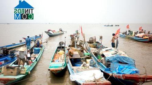 Hình ảnh Tân Thạnh, An Giang