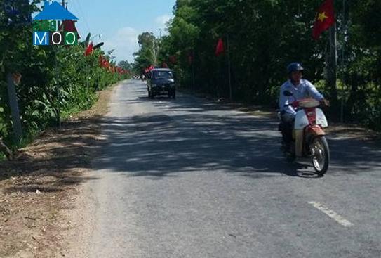 Hình ảnh Phú Tân, An Giang