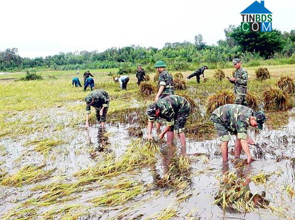 Hình ảnh Vĩnh Xương, An Giang