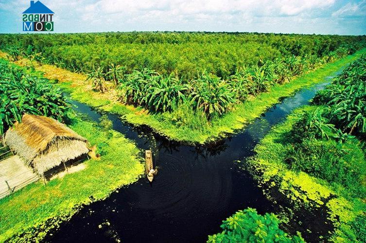 Hình ảnh Vĩnh Hòa, An Giang