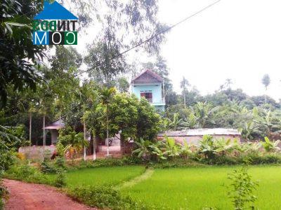 Hình ảnh Mỹ Thái, Bắc Ninh