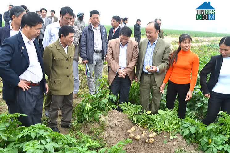 Hình ảnh Đại Sơn, Bắc Ninh