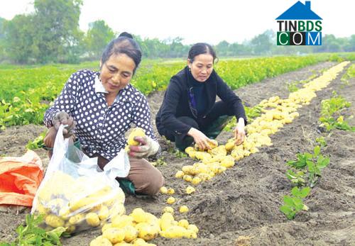 Hình ảnh Nhân Hòa, Bắc Ninh