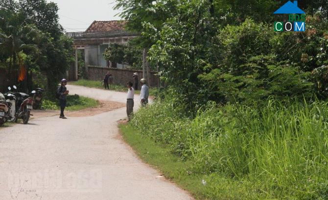 Hình ảnh Phượng Sơn, Bắc Ninh