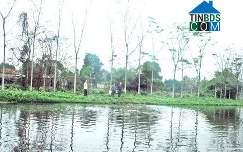Hình ảnh Tam Tiến, Bắc Ninh
