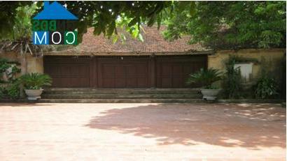 Hình ảnh Tân Chi, Bắc Ninh