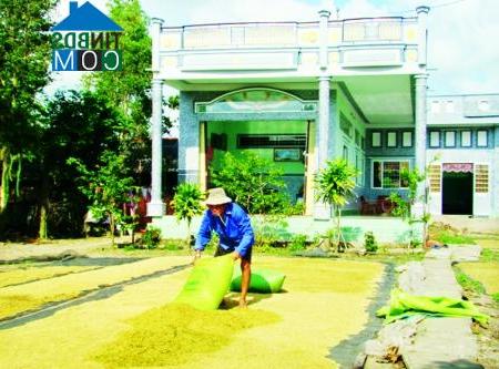 Hình ảnh Đá Bạc, Cà Mau