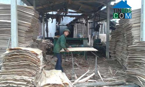 Hình ảnh Xuân Lương, Bắc Ninh