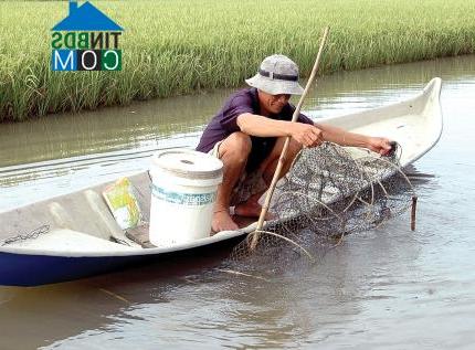 Hình ảnh Lương Thế Trân, Cà Mau