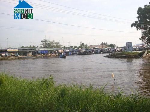 Hình ảnh Nguyễn Phích, Cà Mau