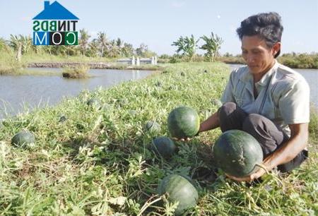 Hình ảnh Nguyễn Việt Khái, Cà Mau