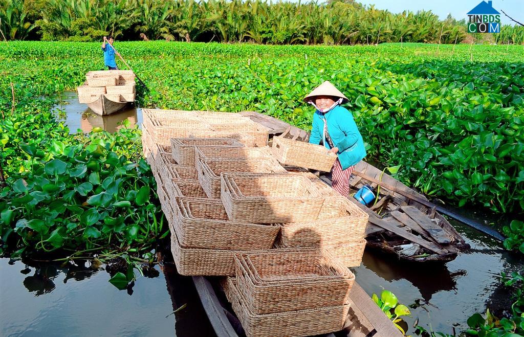 Hình ảnh Ninh Quới, Cà Mau